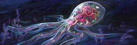 Translucent Evolution event picture
